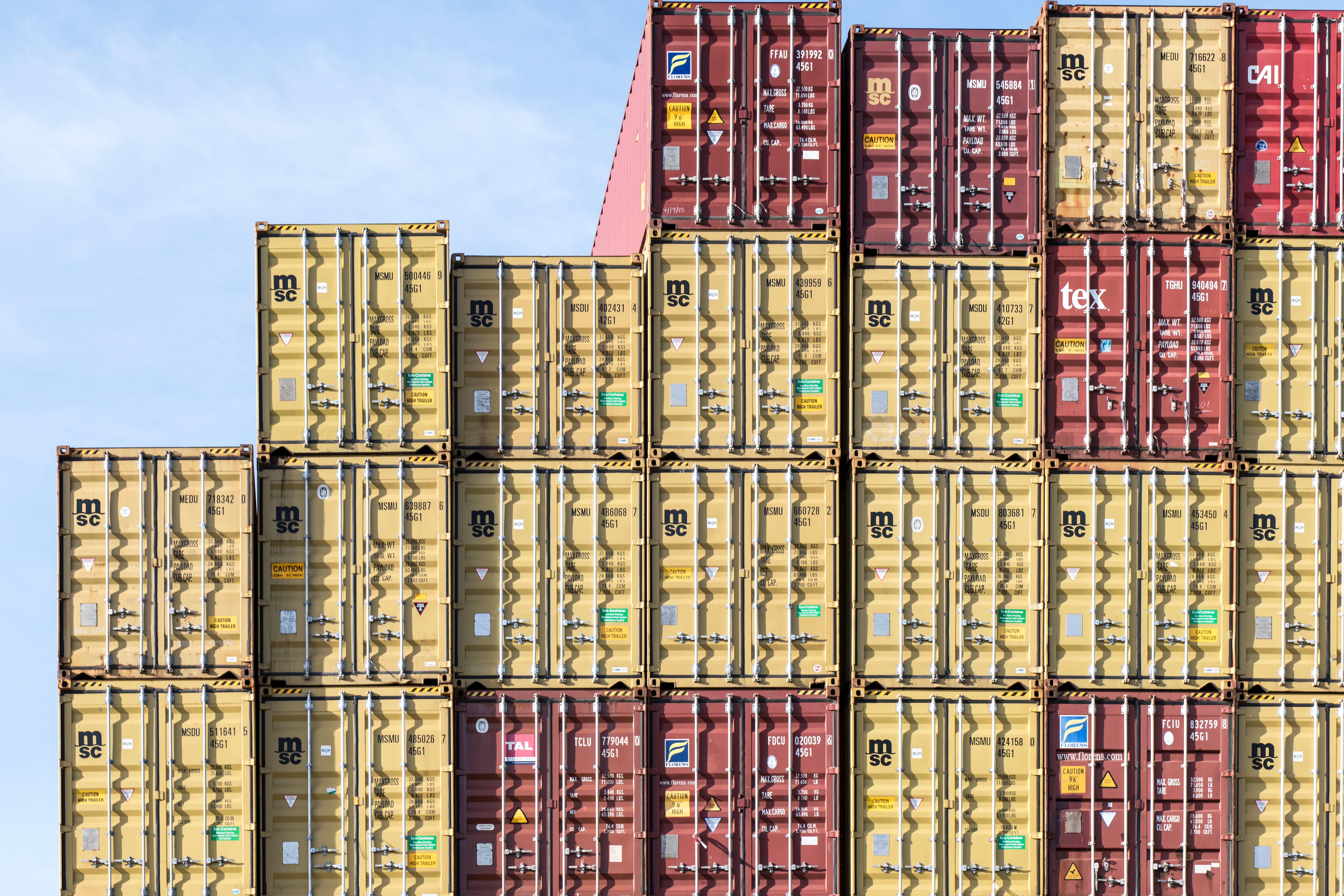 Import & Distribution